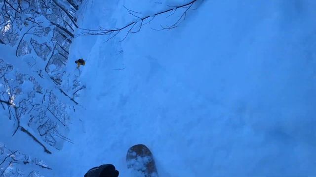 Поляна, Роза, Альпика смотреть онлайн