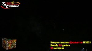 TKB933 Джульетта 33*0,8