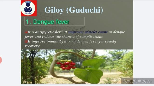 Benefits of giloy, giloy/guduchi ke fayde смотреть онлайн