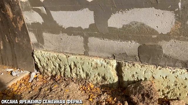 КАК БЕЛКИ В КОЛЕСЕ / Влог от 09.10 смотреть онлайн