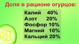 Чем и когда подкормить томаты и огурцы ПОДРОБНАЯ ИНСТРУКЦИЯ