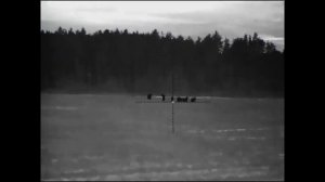 Охота на косулю с тепловизионным прицелом.Охота с подхода