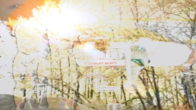 Порез на Собаке - Выход Ангела Бедоносца (кавер) смотреть онлайн