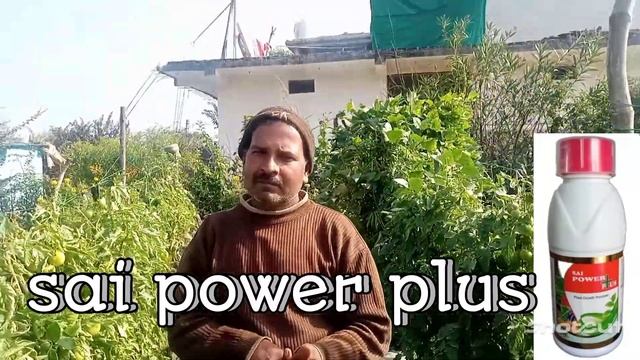 sai power plus 100%herbal tonic смотреть онлайн