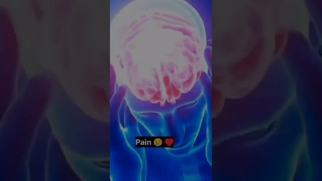 இயற்கையின் காதலன் 😍#video #instagood #highlightsシ゚ #arizona #foodporn #arizona #video #pictures