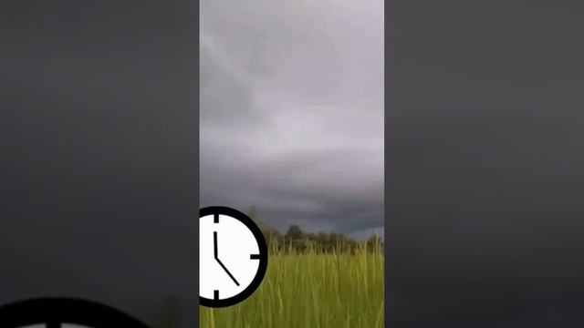 ПОХУДЕНИЕ С ПОЛЬЗОЙ #похудение #shorts #short смотреть онлайн