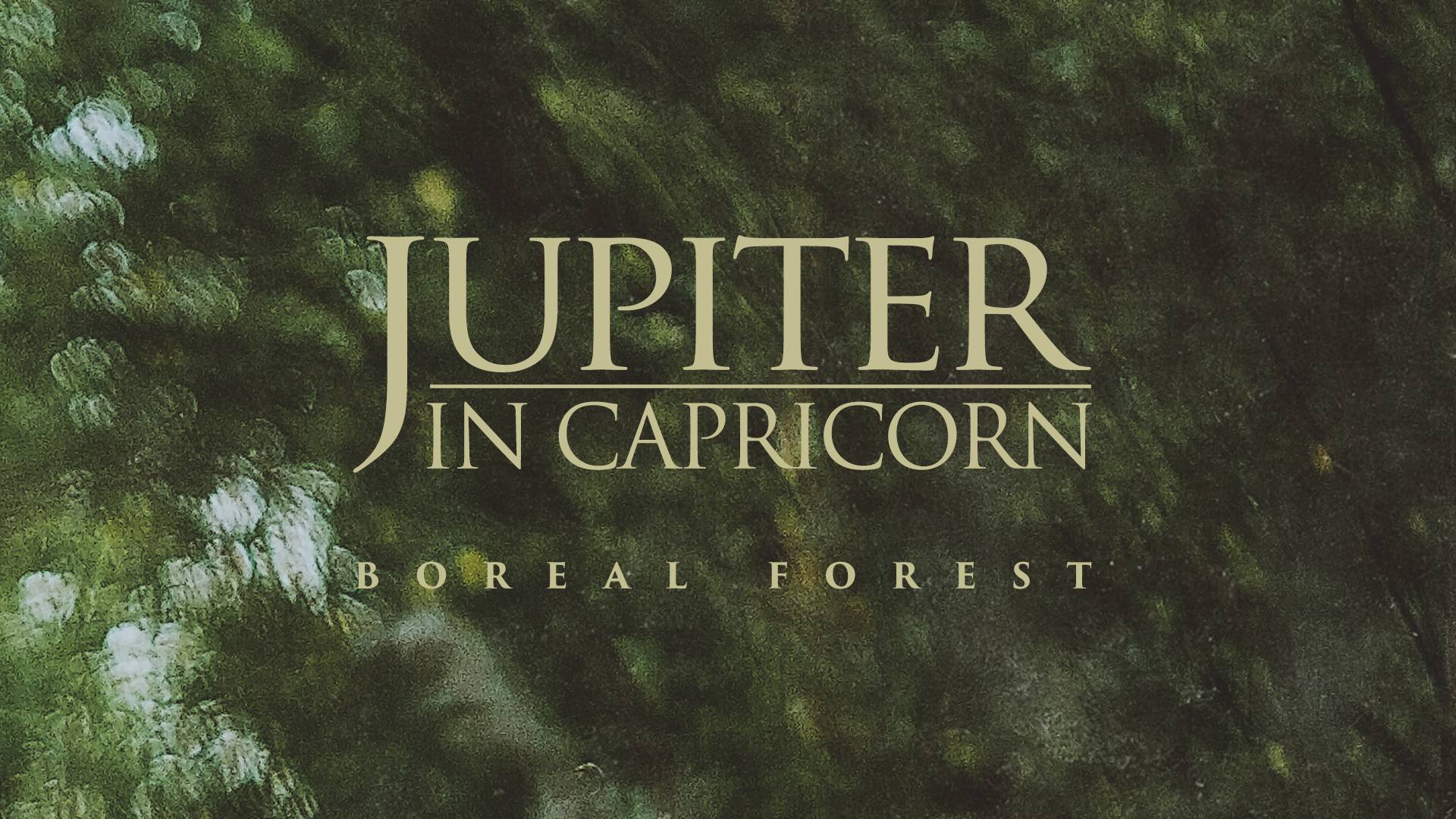 Jupiter In Capricorn - Boreal Forest (ambient Music, Drone, Soundscapes, Field Recordings)