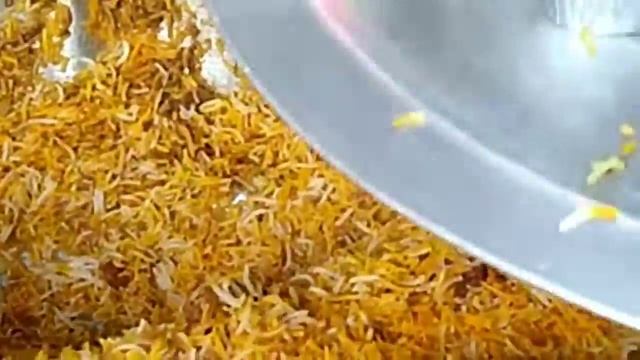 Assam street Matka Biryani only 70rs with boiled egg #bestbiryaniinGuwahati #biryanishorts#sologirl смотреть онлайн