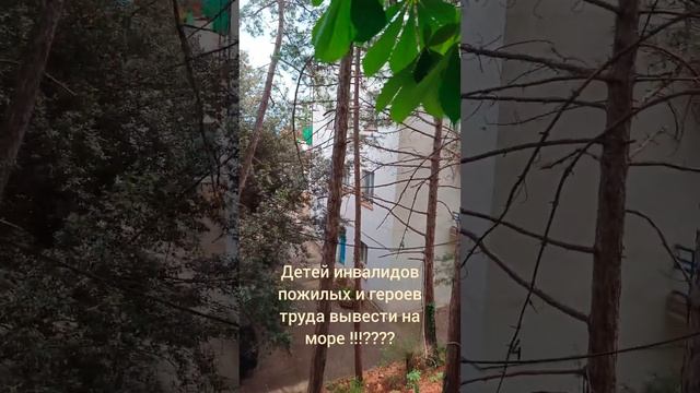 места есть где отдыхать а у государства их нет почему? смотреть онлайн