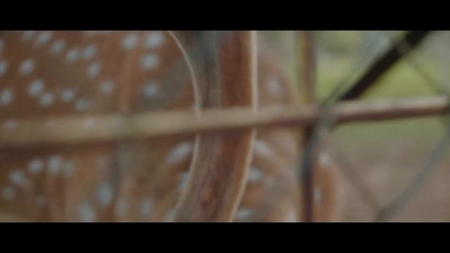 14 Months old ll Panasonic GH5 + Viltrox EF M2 + Tamron 17 - 50 f2.8 non VC смотреть онлайн