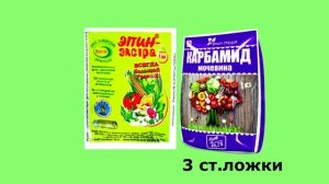 Чем обработать после мороза яблони, розы и др