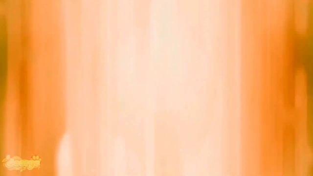 🐕 Dog miraculous background transform 🐶(USE WITH CREDIT) | Miraculous ✨ смотреть онлайн