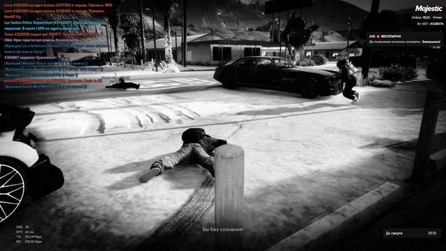 Majestic RP 2025-01-18 20-42-55