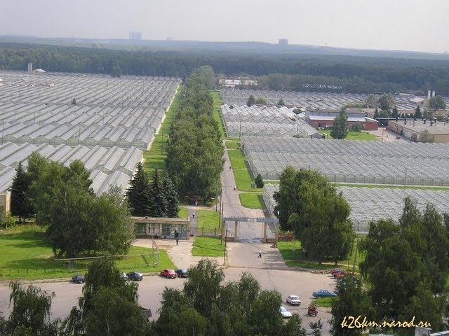 Совхоз-комбинат 