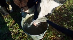 ПОДАРОК ОТ ЗРИТЕЛЕЙ В НОВУЮ БАНЮ | ЕДЕМ К РОДИТЕЛЯМ НА ПОМОЩЬ | ПОСЛЕДНЯЯ МЕБЕЛЬ И ЦЕНА ЗА КОМПЛЕКТ