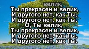 Прихожу к Тебе я