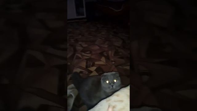 Глаз фары смотреть онлайн