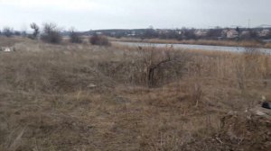 Охота, с пневматической винтовкой?