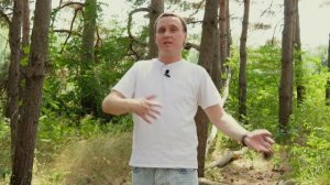 Новый метод визуализации желаний. 100% результат