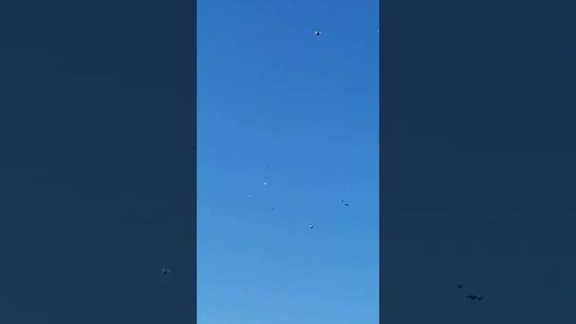 Семёновка липецкая обл смотреть онлайн