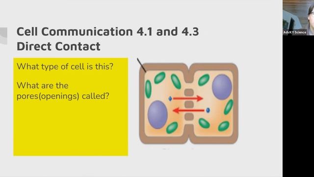 AP Biology Content Review Session #3 смотреть онлайн