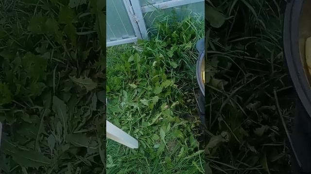 хри смотреть онлайн