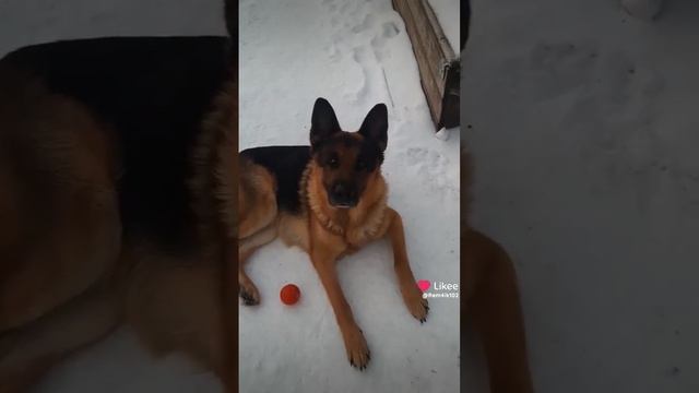 Утречко💥 смотреть онлайн