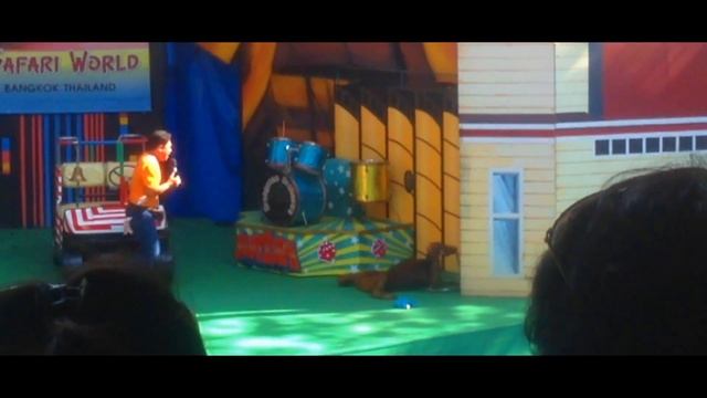 REAL LIFE MONKEY BOXING SHOW | SAFARI WORLD | BANGKOK THAILAND | MUAY THAI SHOW | FULL SHOW смотреть онлайн