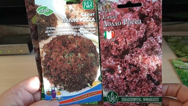 Какие сорта салатов можно выращивать на своем участке #салат #семена #микрозелень смотреть онлайн