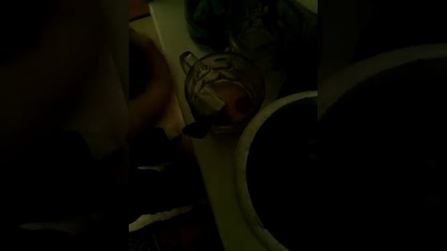 Дресня смотреть онлайн