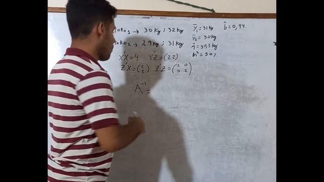 Prueba de Progenie: Índice de selección y modelo toro (con o sin relación) смотреть онлайн