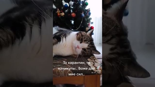 О, Боже,опять!.. смотреть онлайн
