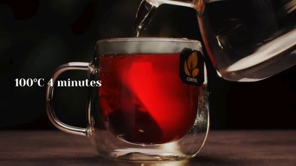 CURTIS Pleasure Time