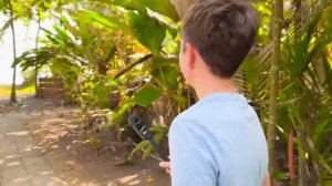 Прятки на Коста Рика