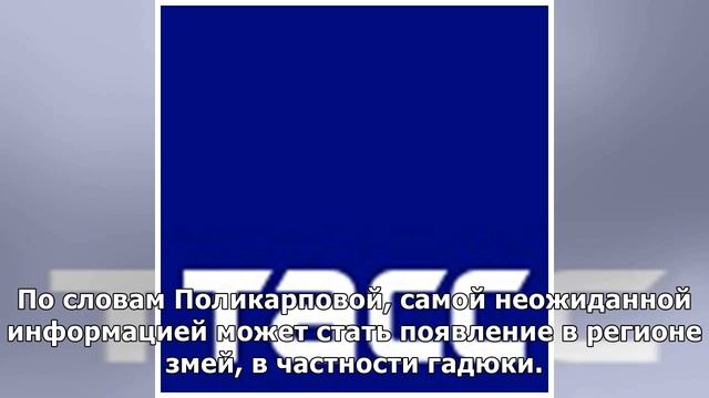 Ученые: Крайний Север обживают представители Южной фауны смотреть онлайн