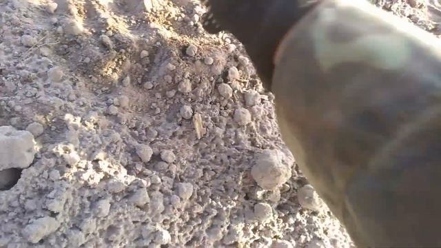 Кладовая чешуя прёт дальше! смотреть онлайн
