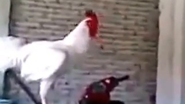 ‫Будильник сломался. смотреть онлайн
