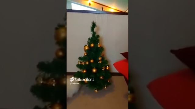 КОЛЬ-ОК (10) смотреть онлайн