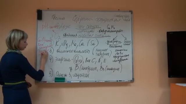 Сердечно-сосудистая система. Оптимальные условия работы. смотреть онлайн