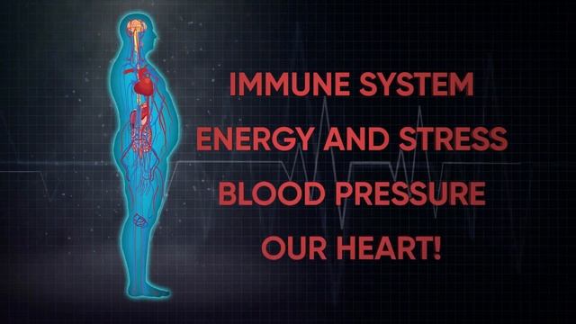 Ежедневный рацион для поддержки сердечно сосудистой системы SUPER REDS❤️ смотреть онлайн