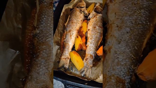 Сибас в духовке