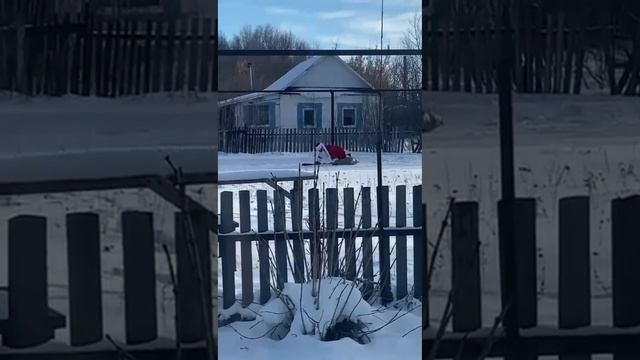 Дед Мороз и Лето смотреть онлайн