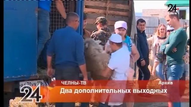 Два дополнительных выходных смотреть онлайн