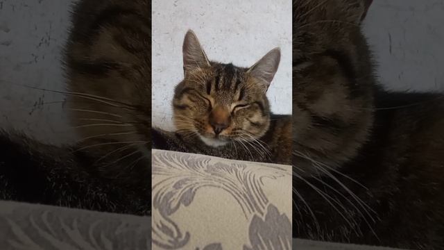 идитуда смотреть онлайн