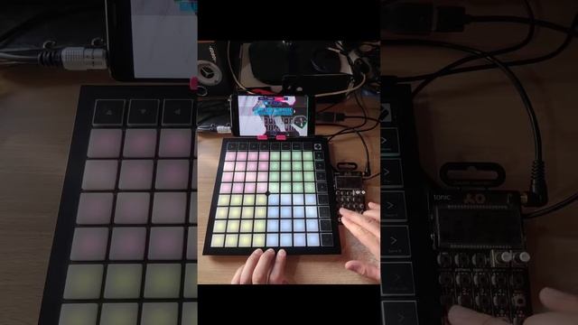 Mini Jam #003 - PO-32 & Koala Sampler + Launchpad X смотреть онлайн