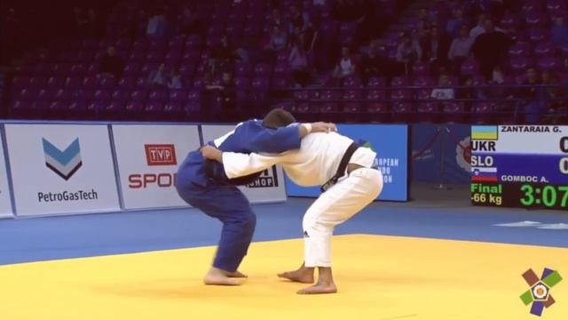 Ippon Daily | Georgii Zantaraia смотреть онлайн