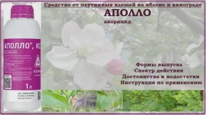 Аполло - эффективный акарицид против растительноядных клещей на яблоне и винограде. Обзор
