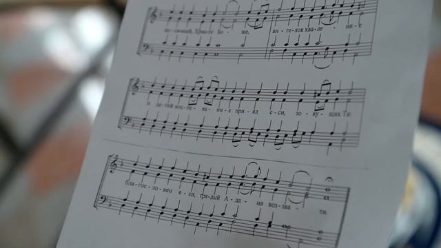 Кондак Входу Господню во Иерусалим в исполнении духовенства кафедрального Благовещенского собора смотреть онлайн