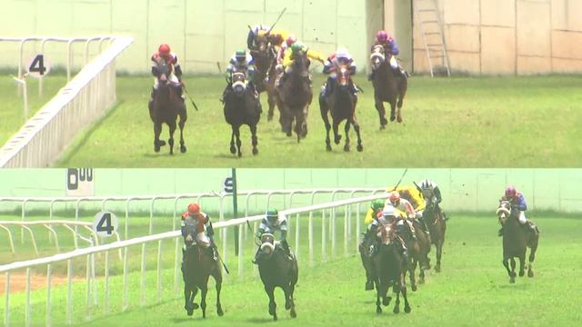 RACE NO 01 THE SQUANDERER CUP (117) смотреть онлайн