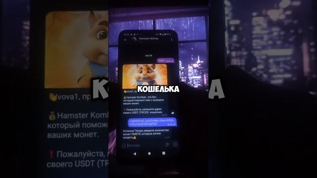 Как вывести монеты из Hamster kombat? #hamsterkombat #хомяк #хамстеркомбо смотреть онлайн